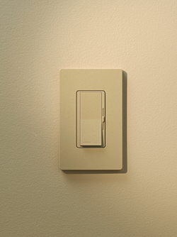 Lighting Control: Lutron Electronics Co. Inc.
