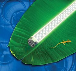 Light-Emitting Diode (LED) Lights: LEDtronics Inc.