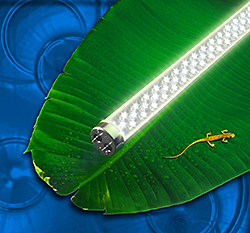 T8 LED: LEDtronics Inc.