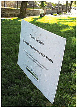 Drought-Resistant Grass Seed: Pearl's Premium Inc.
