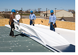 TPO Membrane: Carlisle SynTec