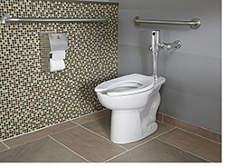 High-Efficiency Toliet: American Standard Brands