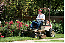 Compact Mower: Grasshopper Co.