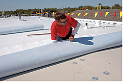TPO Membrane: Firestone Building Products Co.