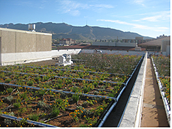 Vegetative Roofing: The Garland Co. Inc.
