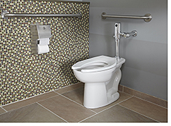 High-Efficiency Toilet: American Standard Brands