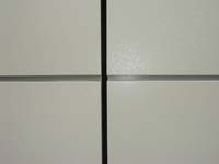 Architectural Systems: Centria Architectural Systems
