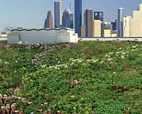 Green Roofing: GAF Materials Corp.