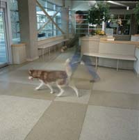 Floor Coating: Valspar Flooring