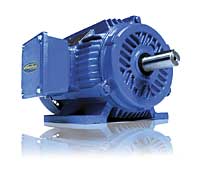Motor: Elektrim Motors