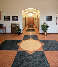 Linoleum Coating: Armstrong Commercial Flooring