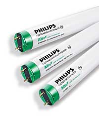 Fluorescent Lamp: Philips