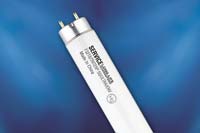 T8 Lamp: Radiant Lamp Company