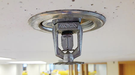 Common Types Of Fire Sprinkler Systems