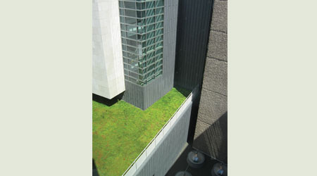 metal wall system