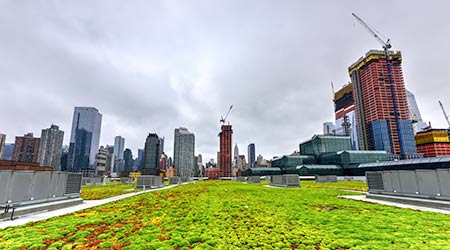 Green roof on Jacob K. Javits Convention Center in New York City                                                                                      