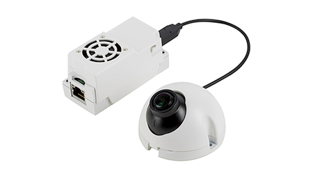 Discrete Surveillance Camera Aims 