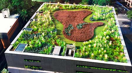 green roofs                                                                                                                                           