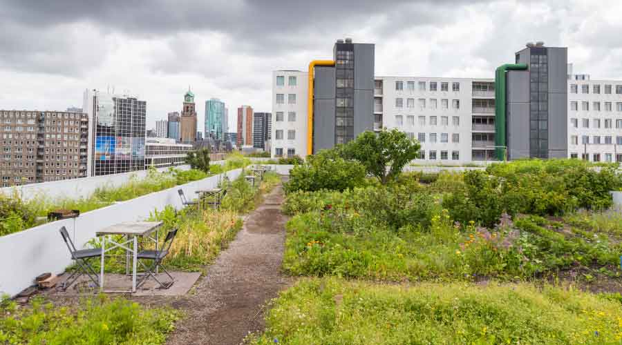 The Benefits of Blue Roofs